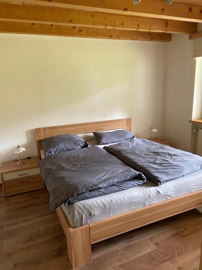 Ferienwohnung Im Herzen Graubuendens Surava Εξωτερικό φωτογραφία